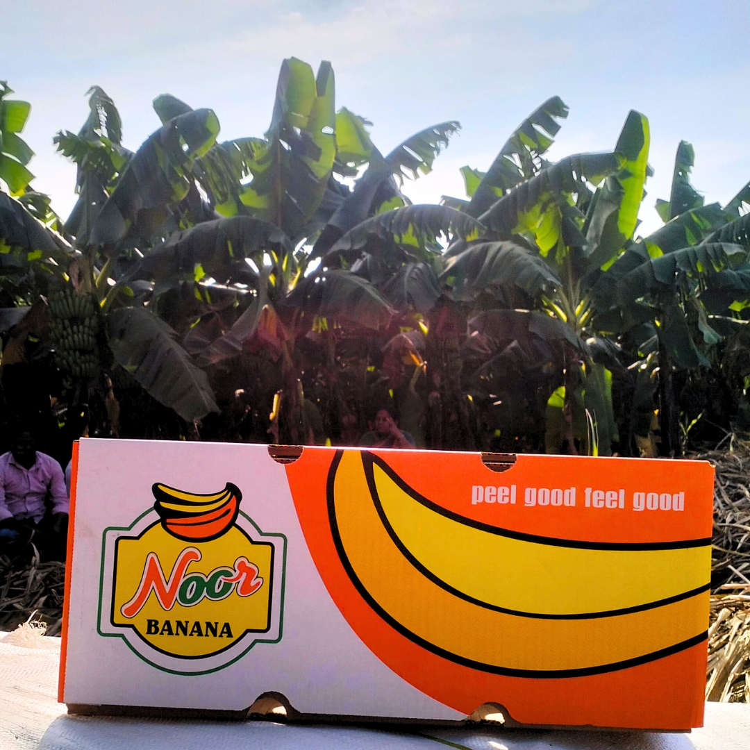 Banana